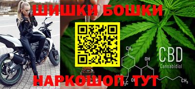 твердый Будённовск