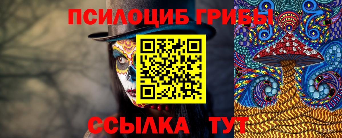 Псилоцибиновые грибы мухоморы Карабулак
