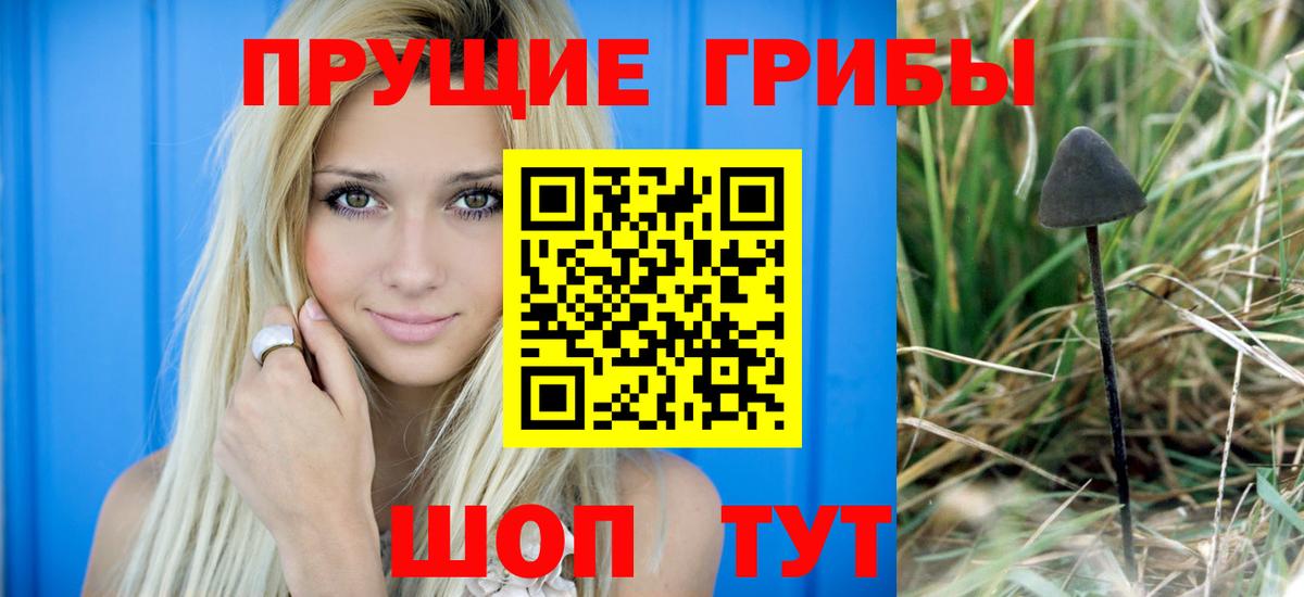 Псилоцибиновые грибы Magic Shrooms  Псилоцибиновые грибы Psilocybine cubensis  Карабулак  Вход с VPN 